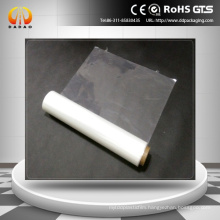 Free sample polyester film